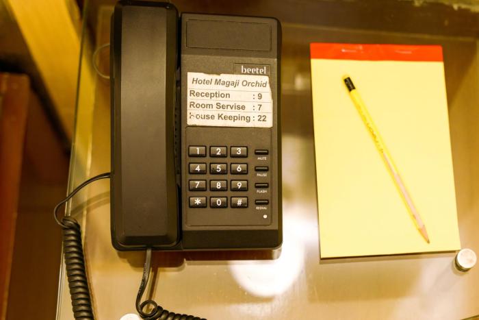 bisque magaji orchid near majestic railway station