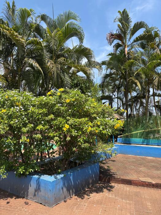 manasa water park and resort