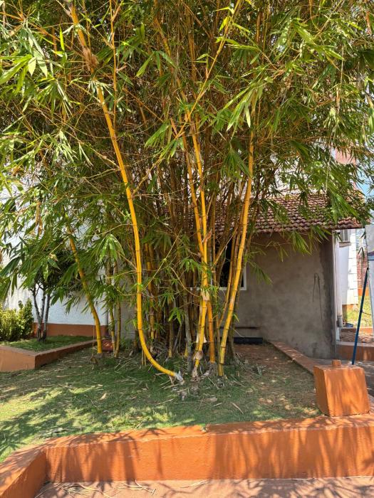 manasa water park and resort