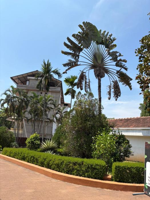 manasa water park and resort