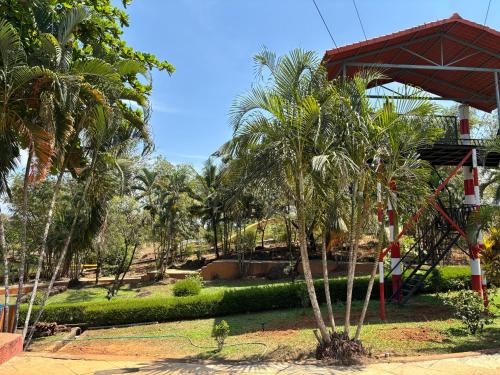 manasa water park and resort