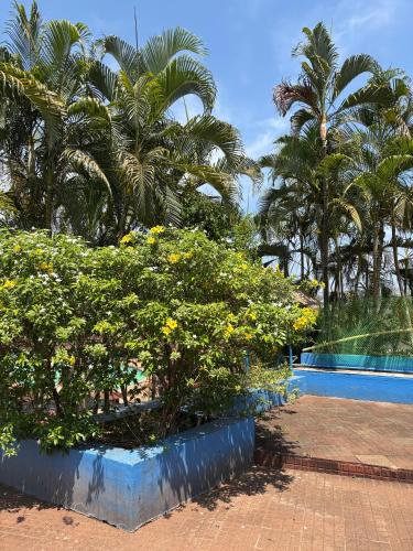 manasa water park and resort