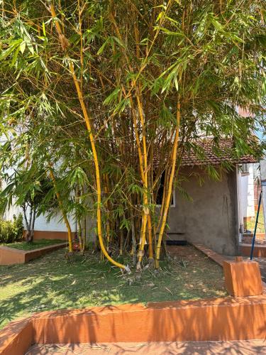 manasa water park and resort