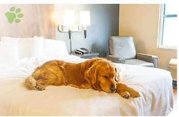 extended stay america premier suites colorado springs south