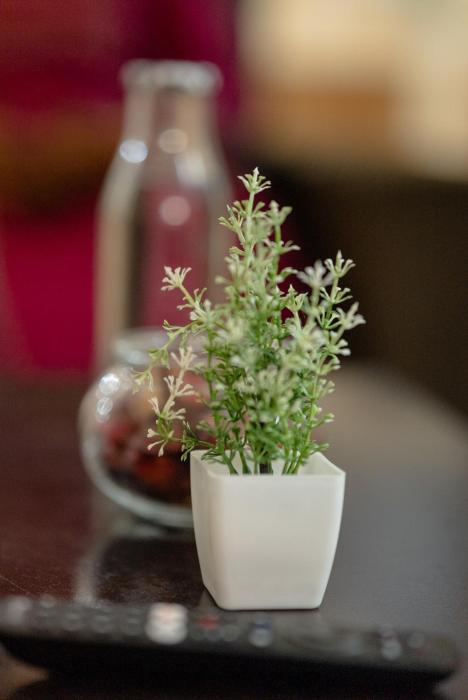 charter stays 3bhk luxurious flat in manikonda