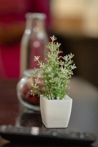 charter stays 3bhk luxurious flat in manikonda