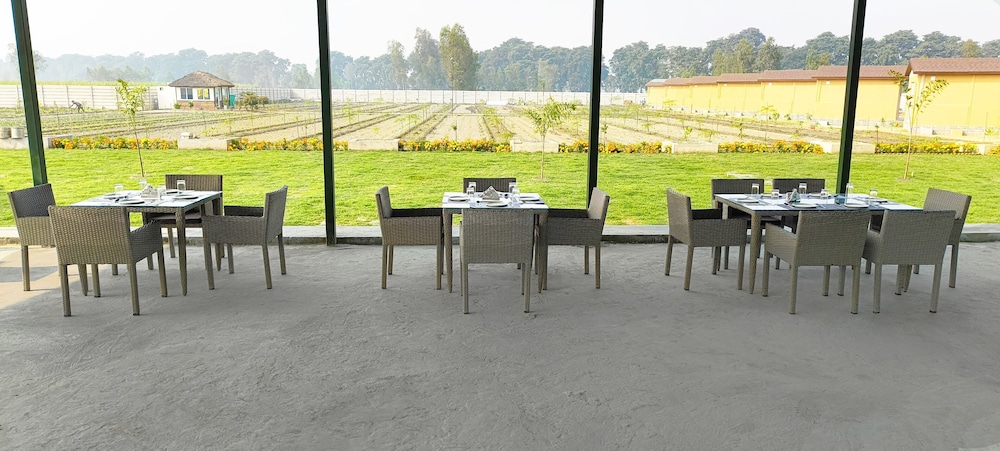 wildlense wild retreat