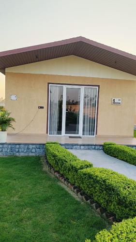 wildlense wild retreat