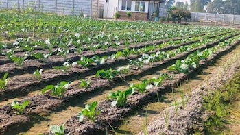 wildlense wild retreat