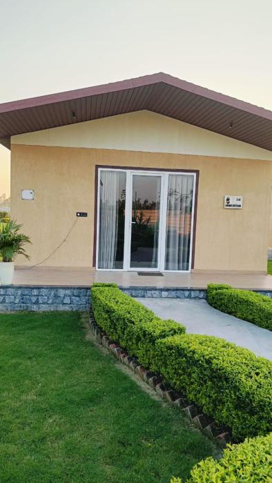 wildlense wild retreat