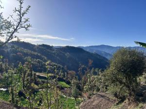 shalom hillcrest inn