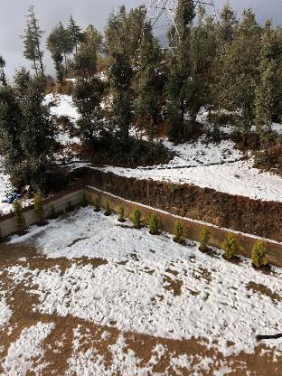 shalom hillcrest inn