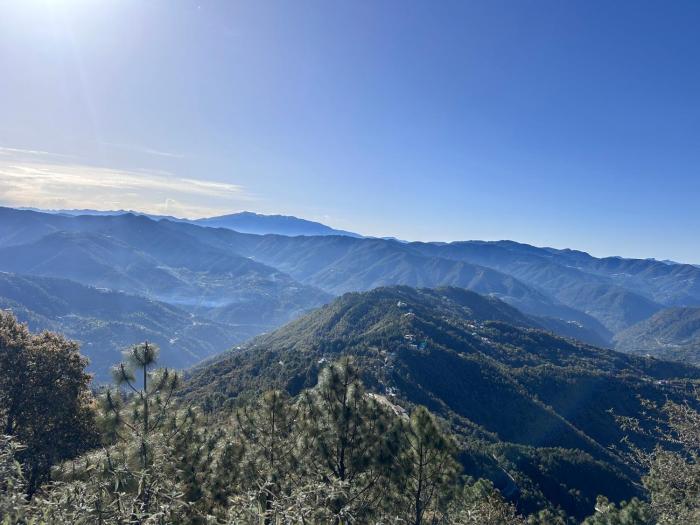 shimla
