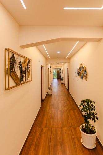 fly view airport residency