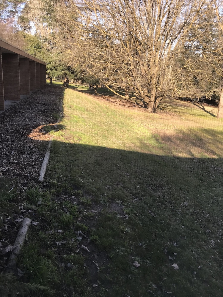moe parklands motel