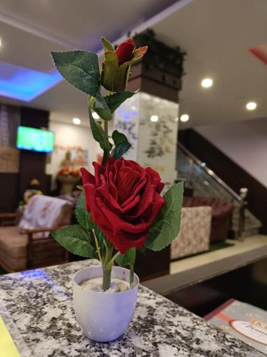 Hotel Cloud Height,,2 star