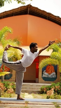 palm paradise home stay