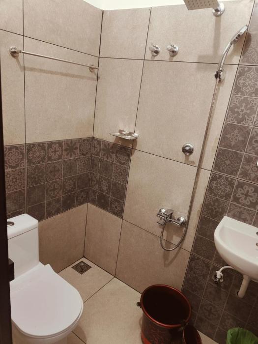 palm paradise home stay