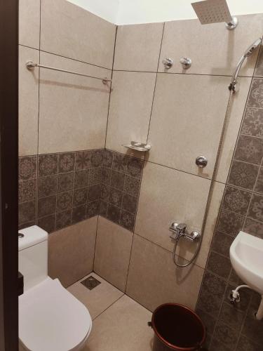 palm paradise home stay