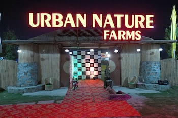 urban nature farms
