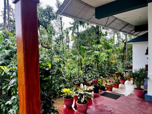 Greenspun Homestay,,5 star