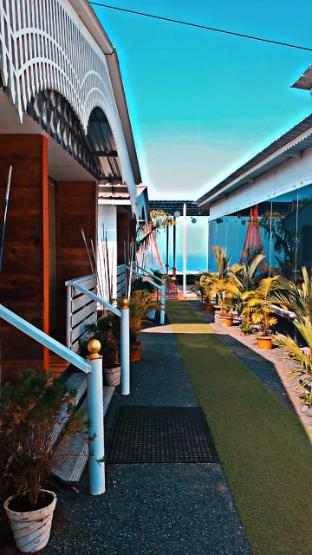 omiguel clifftop cottages