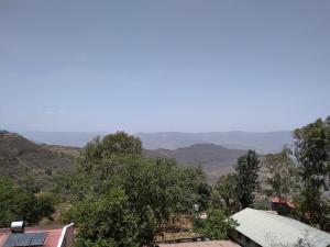 monkeycap tourist hostel