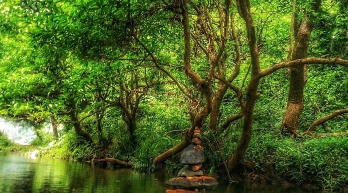namasthe ayurveda and yoga retreat