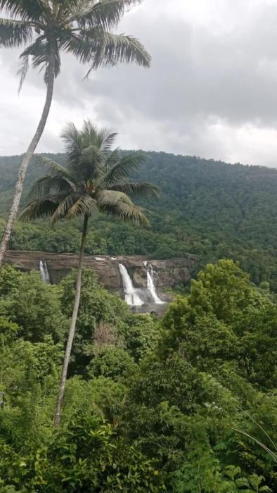namasthe ayurveda and yoga retreat