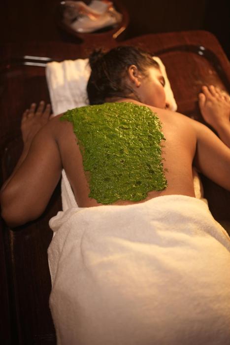 namasthe ayurveda and yoga retreat