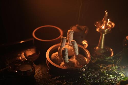 namasthe ayurveda and yoga retreat