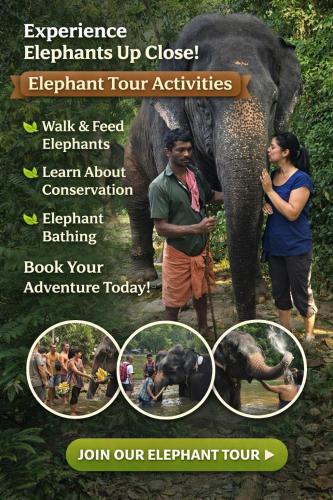 namasthe ayurveda and yoga retreat