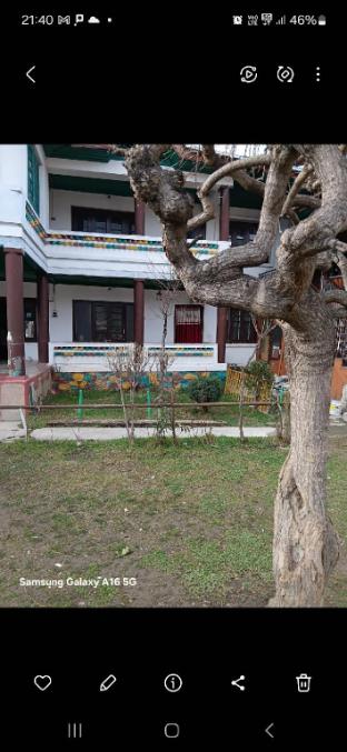 hotel new green view a part