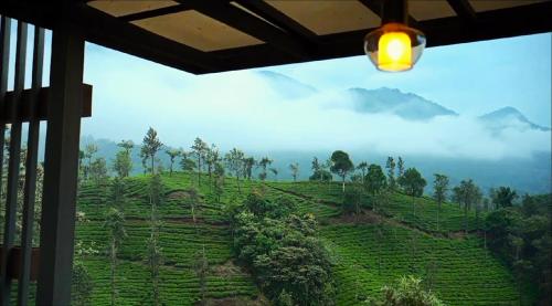 hillway boutique resort