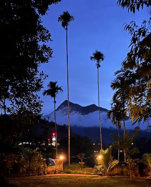 meppadi
