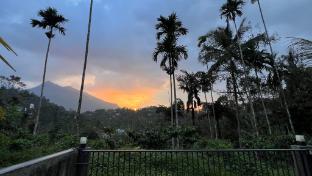 hill view heights wayanad