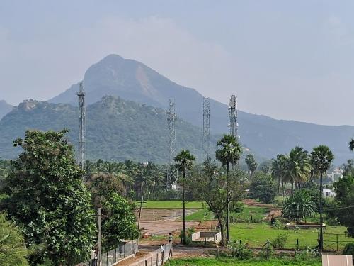 gold mountain stay