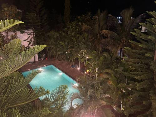 the blackbuck ashwem