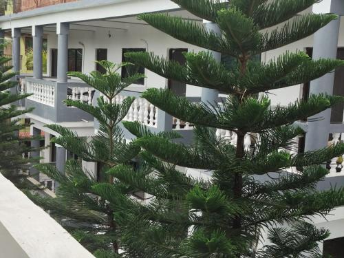 the blackbuck ashwem