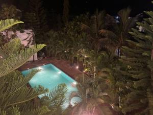 the blackbuck ashwem