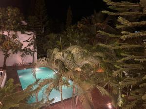 the blackbuck ashwem