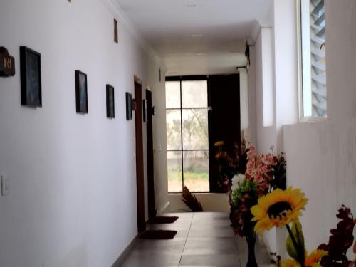 holidays garden resort