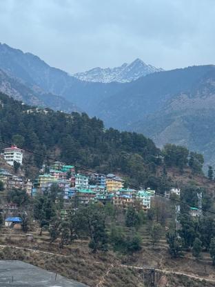 hotel hillora mcleodganj