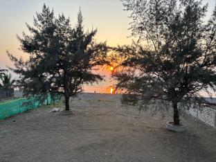 sea royal rooms and cafe