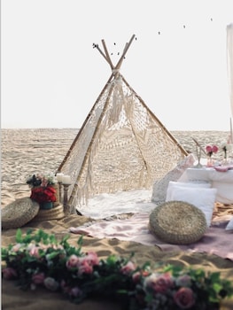 sea royal rooms and cafe