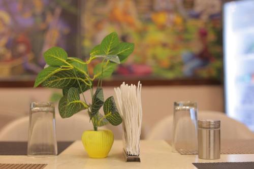 hotel mango tree vrindavan
