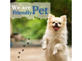 bluo lake view newtown boutique hotel