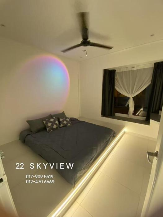 22 skyview