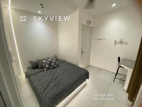 22 skyview