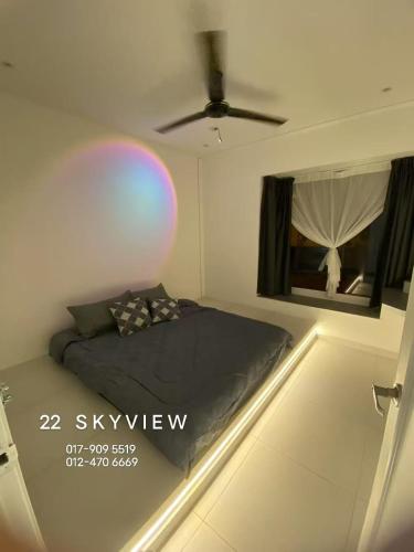 22 skyview